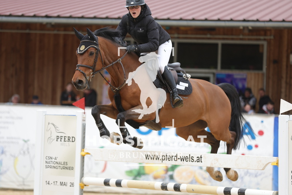 0P6A3886 | Willkommen bei Brunnmayr - Design & Fotografie – Ihrem Spezialisten für Reitturniere und Pferdeveranstaltungen in Oberösterreich, Salzburg und Bayern! Seit über 17 Jahren sind wir leidenschaftlich dabei.