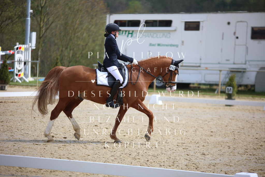 IMGT4146 | pl-fotografie