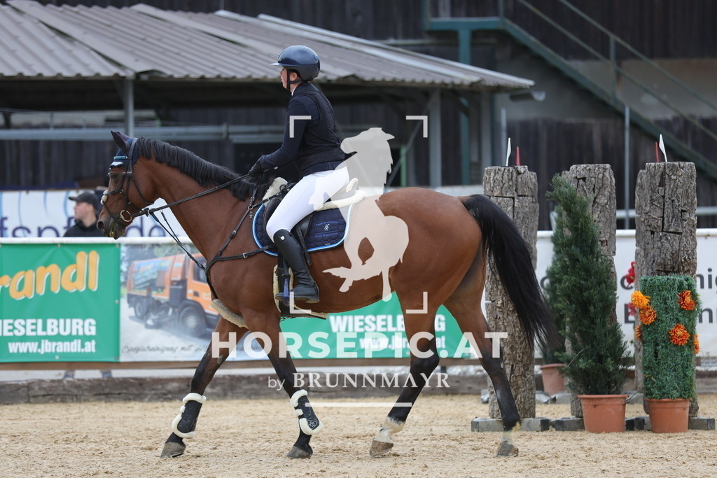 0P6A5995 | Willkommen bei Brunnmayr - Design & Fotografie – Ihrem Spezialisten für Reitturniere und Pferdeveranstaltungen in Oberösterreich, Salzburg und Bayern! Seit über 17 Jahren sind wir leidenschaftlich dabei.