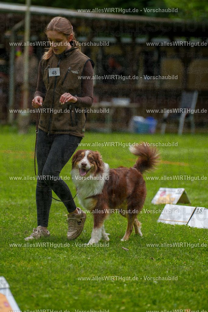@allesWIRTHgut_Tierfotografie - www.allesWIRTHgut.de - 7R500619 | Professionelle Tierfotografie in Mönchengladbach von Daniel Wirth (allesWIRTHgut). Liebevolle & natürliche Bilder von Hunden & Katzen für unvergessliche Erinnerungen.