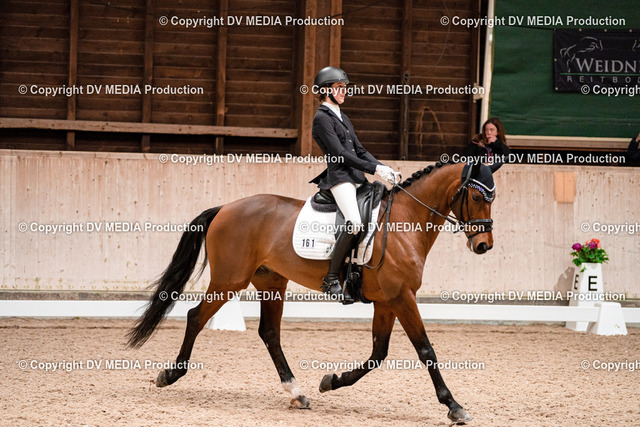 Dressur Tag 3-038 | dv-media-shop - Realized with Pictrs.com