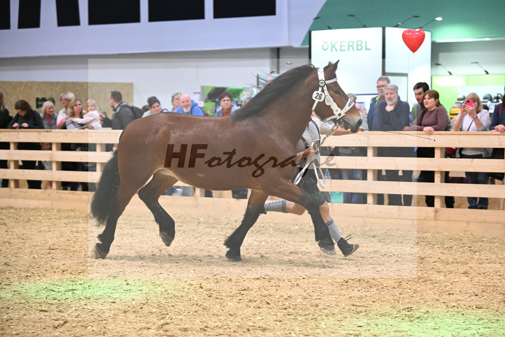 Kat-Nr. 26 Finerl v. Rissbach_Rasshofer_1260385 | hf-fotografie - Realisiert mit Pictrs.com