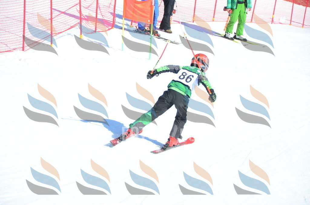 C5646 | holidayphoto