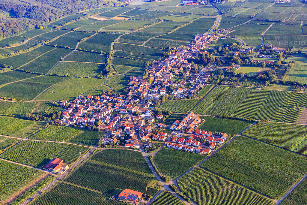 Luftbild: Winzerdorf aus Süden am Haardtrand des Pfälzerwalds im Morgenlicht in Forst an der Weinstraße im Bundesland Rheinland-Pfalz in Deutschland. Foto: IMG_44392.jpg vom 20.08.2011 durch Werner Riehm/FLY-FOTO.de