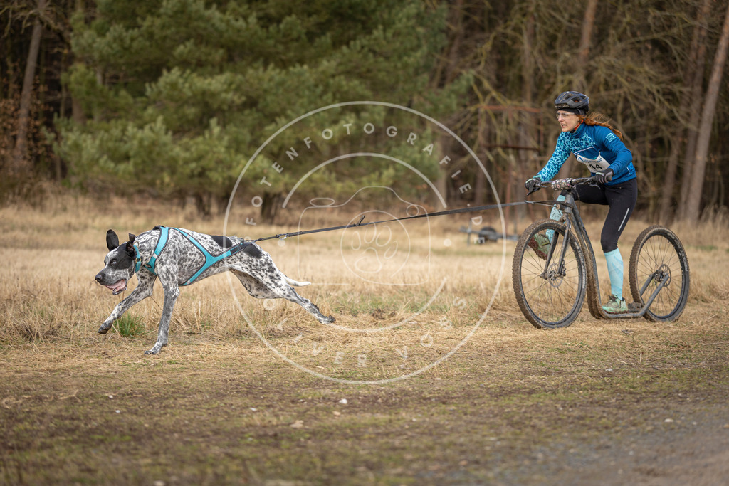 DV3A4657 | Hundefotografie, Tierfotograf, Pfotenfotografie, Fotoshooting Hund, Hunde Portrait, Hundesport, Hundeportraits, Heideshooting, Hunde, Sportfotograf, Hundefotograf, Turnierhundsport, THS,  - Realisiert mit Pictrs.com