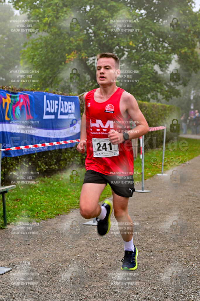 Z8N_1201 | la-psv - Realisiert mit Pictrs.com