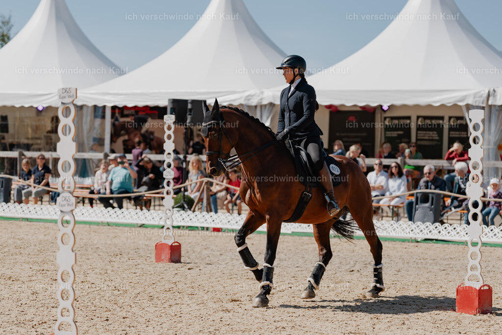 Nadine22_FHC2025-71 | working equitationturnier fotograf videograf stoibphotography marixx film working equitation deutschland reitsport turnierfotografie eventfotografie equestrian events