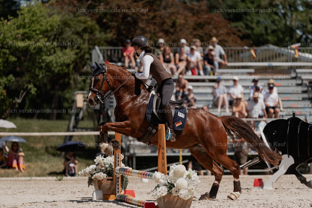 WE_SP_Stoib_342_PI2025_1825 | Pferd International München 2025