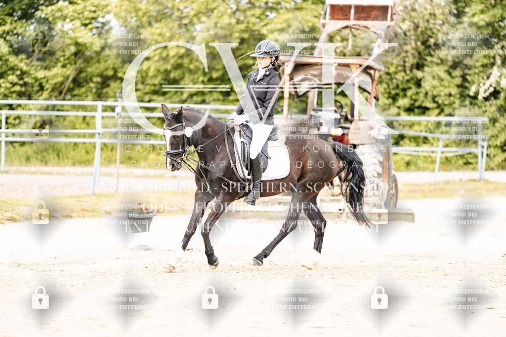 CK904333 | Turnierfotografie Pferdefotografie Trier Rheinland-Pfalz Pferdesport Reitsport Tierfotografie Sportfotografie Pferdevideo Pferdevideografie Equestrianvideography equestrianphotography  - Realisiert mit Pictrs.com