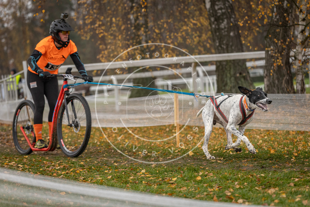 CaniXpix_DV3A8647 | Hundefotografie, Tierfotograf, Pfotenfotografie, Fotoshooting Hund, Hunde Portrait, Hundesport, Hundeportraits, Heideshooting, Hunde, Sportfotograf, Hundefotograf, Turnierhundsport, THS,  - Realisiert mit Pictrs.com