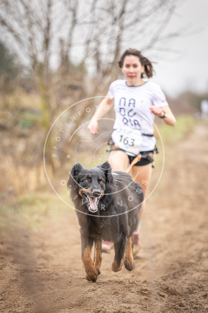 DV3A9623 | Hundefotografie, Tierfotograf, Pfotenfotografie, Fotoshooting Hund, Hunde Portrait, Hundesport, Hundeportraits, Heideshooting, Hunde, Sportfotograf, Hundefotograf, Turnierhundsport, THS,  - Realisiert mit Pictrs.com