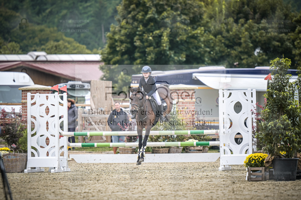 DOS_2070 | Entdecke hochwertige Reitturnierfotos von Foto Oger. Professionell, emotional und authentisch – jetzt Lieblingsmomente im Shop bestellen. - Realisiert mit Pictrs.com