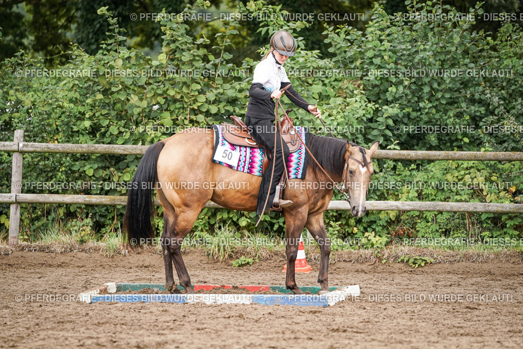 DSC04522 | Pferdegrafie