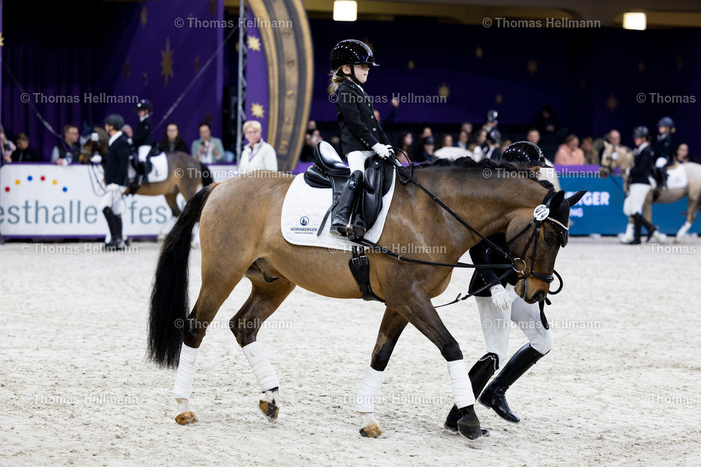 TH_Nürnberger Burgpokal Führzügelwettbewerb_13209 | Nürnberger Burgpokal Führzügelwettbewerb beim Festhallen Reitturnier Frankfurt 2023 am 15.12.23 in Frankfurt, Festhalle