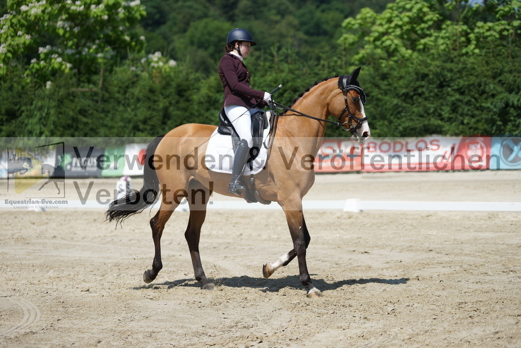DSC01748 | equestrian-live-com