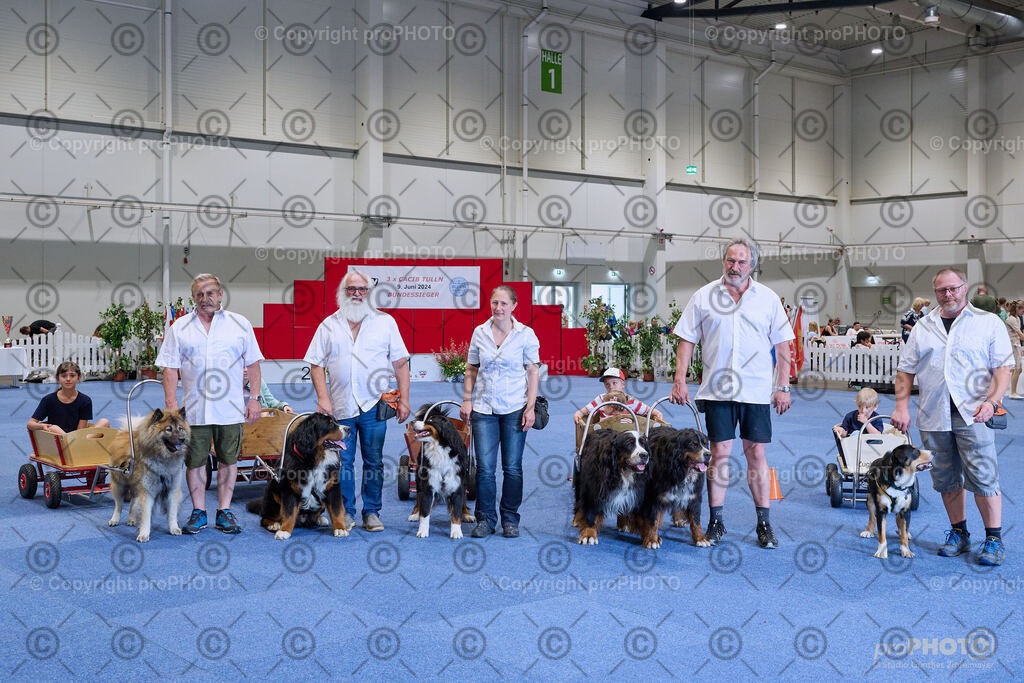 202406_ÖKV-IHA-Tulln24_NZ9_9411 | proPHOTO - Realisiert mit Pictrs.com