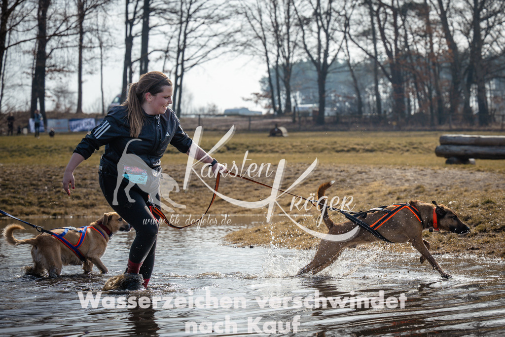 1130_ZZ94881 | kk-dogfotos