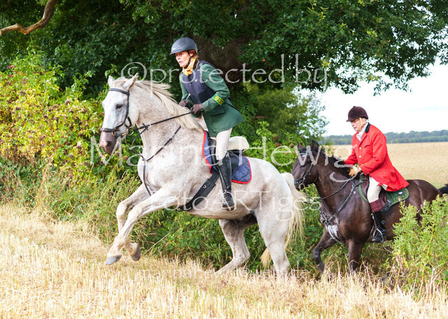 Jagd Knoop 26_MarinaHewigMCH02547 | Fotografie, FotoArt, PferdesportArt, Pferdesportfotografie, Landschaftsfotografie, Reisefotografie, Reise, Pferde - Realisiert mit Pictrs.com