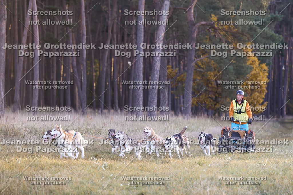 Dog Paparazzi - Elsholz 25 -19 | Dog Paparazzi Jeanette Grottendiek Fotografie & Videografie - Realisiert mit Pictrs.com