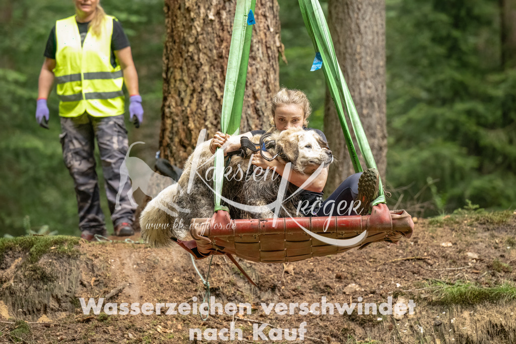 1258_ZZ91843-Bearbeitet | kk-dogfotos