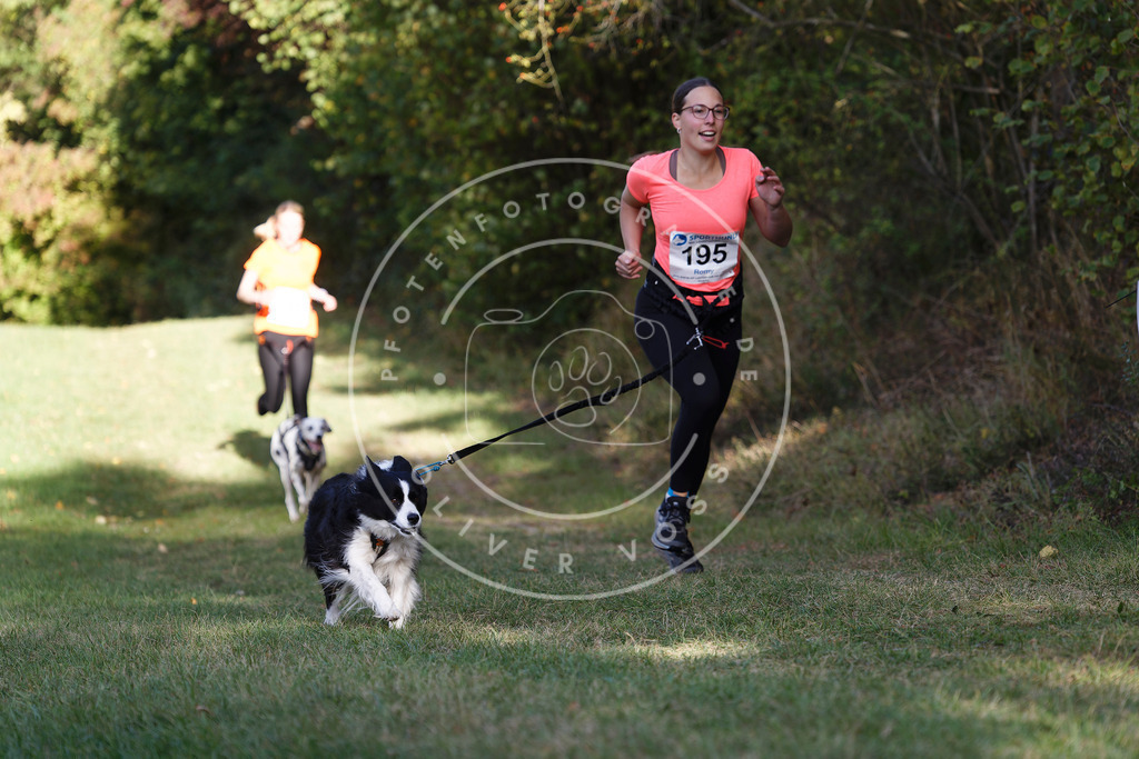 0L8A5718 | Hundefotografie, Tierfotograf, Pfotenfotografie, Fotoshooting Hund, Hunde Portrait, Hundesport, Hundeportraits, Heideshooting, Hunde, Sportfotograf, Hundefotograf, Turnierhundsport, THS,  - Realisiert mit Pictrs.com