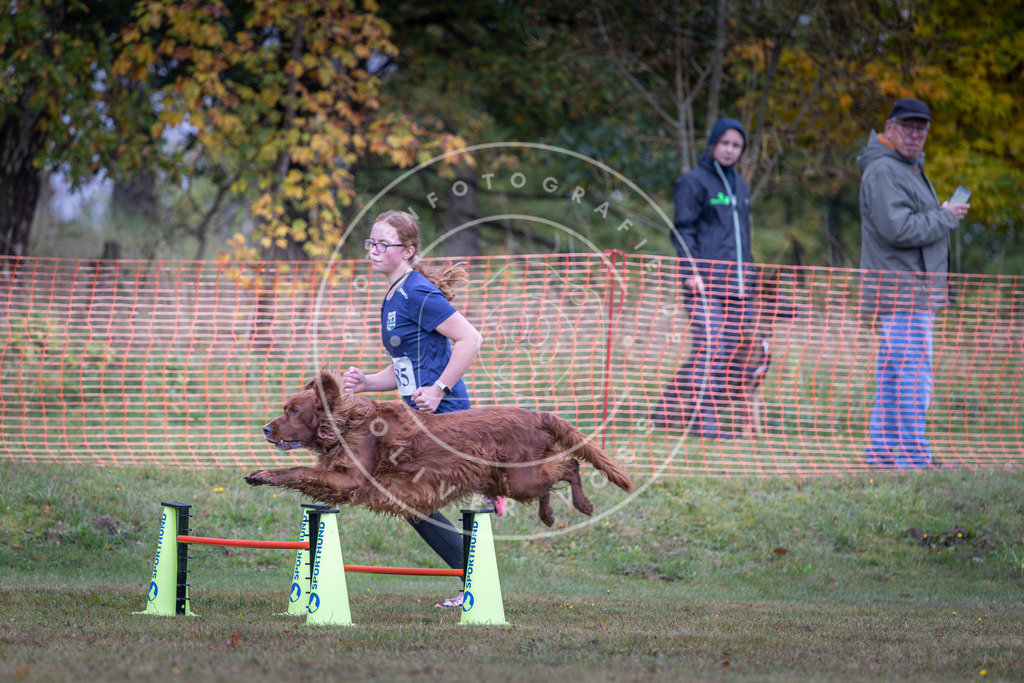 Pfotenfotografie_DV3A0440 | Hundefotografie, Tierfotograf, Pfotenfotografie, Fotoshooting Hund, Hunde Portrait, Hundesport, Hundeportraits, Heideshooting, Hunde, Sportfotograf, Hundefotograf, Turnierhundsport, THS,  - Realisiert mit Pictrs.com