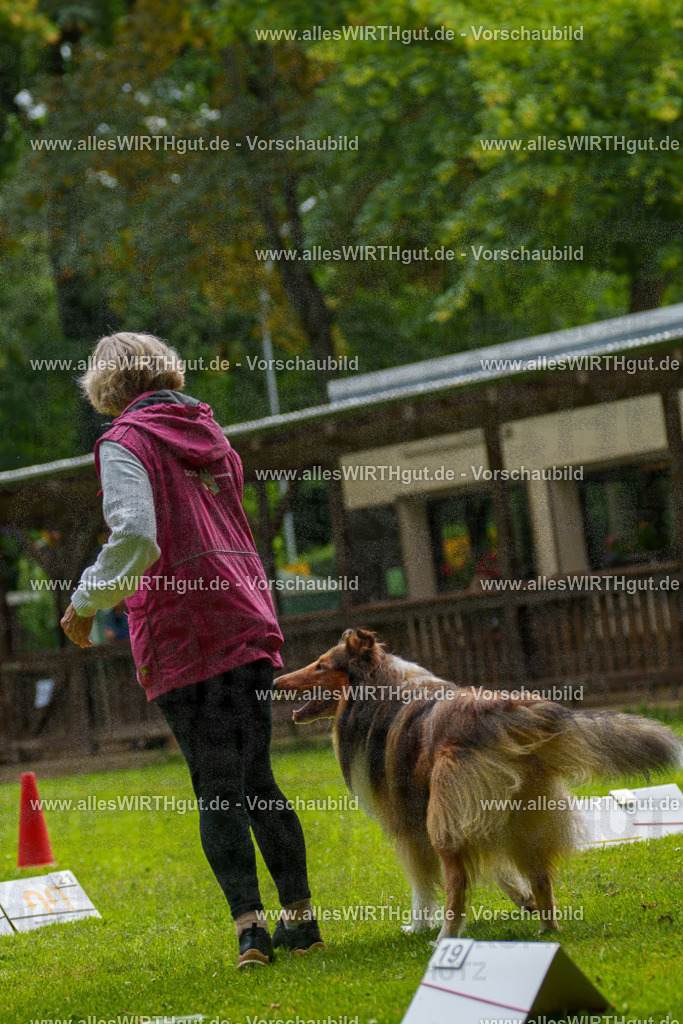 @allesWIRTHgut_Tierfotografie - www.allesWIRTHgut.de - 095232-7R507785 | Professionelle Tierfotografie in Mönchengladbach von Daniel Wirth (allesWIRTHgut). Liebevolle & natürliche Bilder von Hunden & Katzen für unvergessliche Erinnerungen.