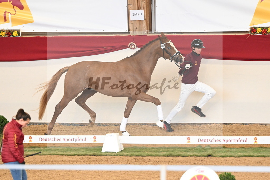 Kat.-Nr. 67 v. Iron_Reglauer_3260958 | hf-fotografie - Realisiert mit Pictrs.com