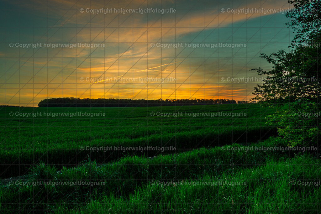 Abendstimmung | Kaufen sie online außergewöhnliche Fotografien auf Leinwand Acrylglas Fotoprint Aludibond von holgerweigeltfotografie - Realisiert mit Pictrs.com