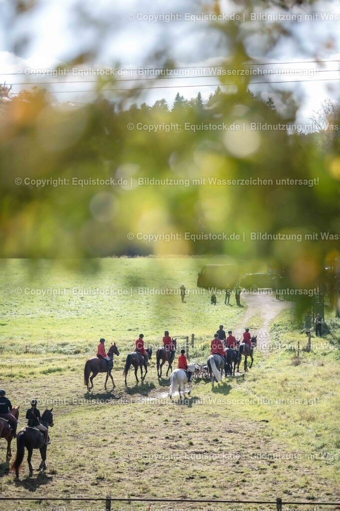 20251011_Jagd-Marbach_0561 | Foto: Thomas Hartig