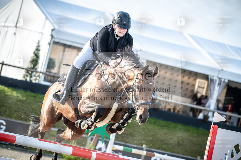 DOS_4490 | Entdecke hochwertige Reitturnierfotos von Foto Oger. Professionell, emotional und authentisch – jetzt Lieblingsmomente im Shop bestellen. - Realisiert mit Pictrs.com