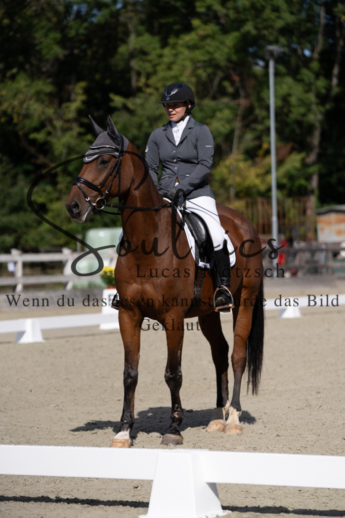 A7V07034 | Turnier/Reitfotograf