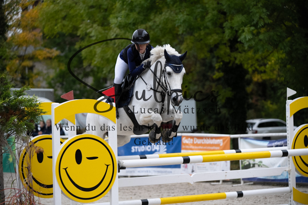 A7V08702 | Pferdefotograf