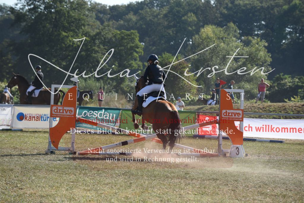 DSC_6019 | Pferde- und Turnierfotografie in Westsachsen. Pferdeportraits, Auftragszeichnungen und intuitive Kunst.
