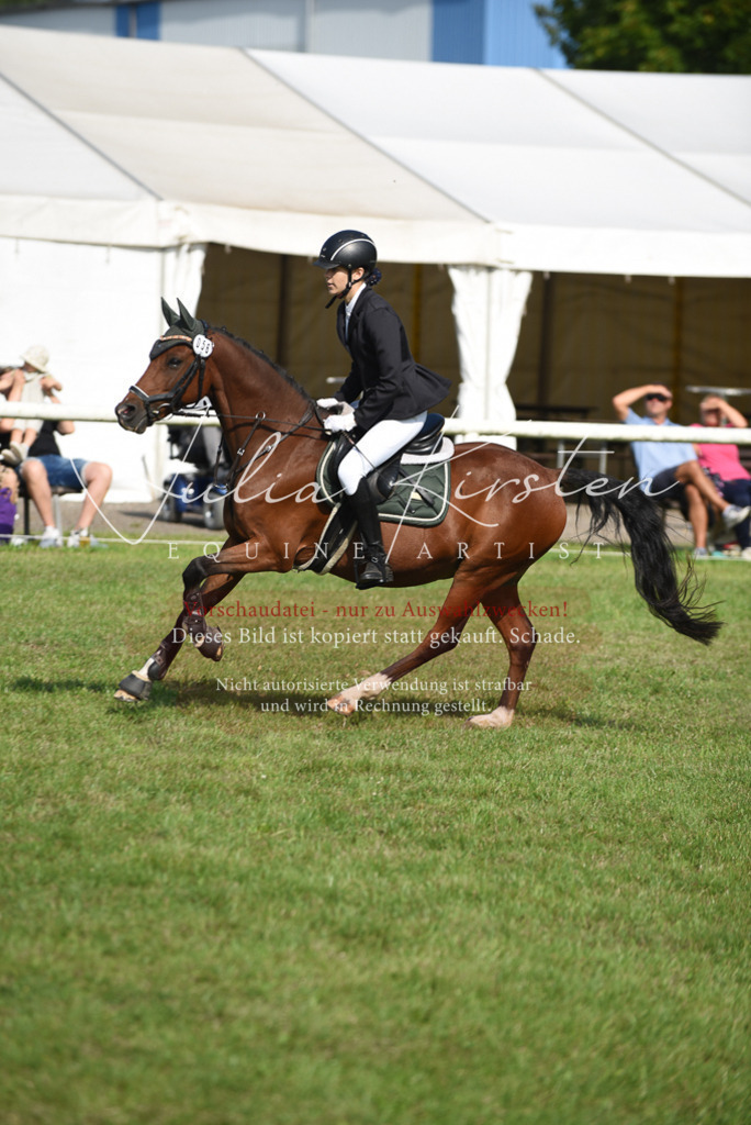 DSC_8929 | Pferde- und Turnierfotografie in Westsachsen. Pferdeportraits, Auftragszeichnungen und intuitive Kunst.