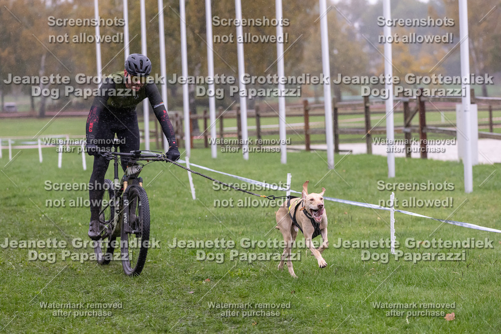 Dog Paparazzi - SD CaniX Championship 2025-908 | Dog Paparazzi Jeanette Grottendiek Fotografie & Videografie