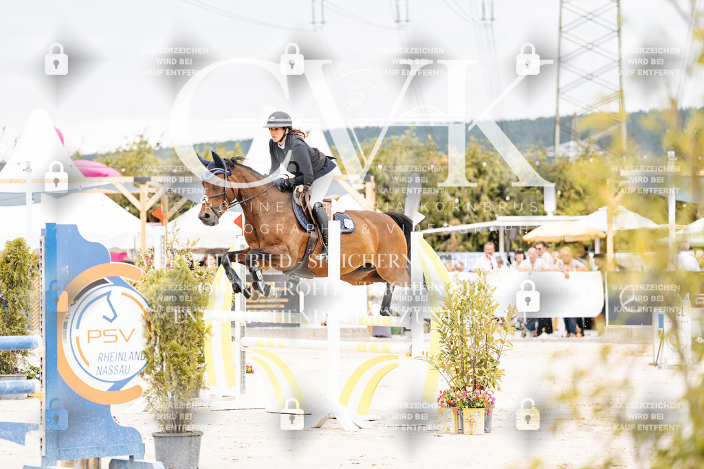 CK906233 | Turnierfotografie Pferdefotografie Trier Rheinland-Pfalz Pferdesport Reitsport Tierfotografie Sportfotografie Pferdevideo Pferdevideografie Equestrianvideography equestrianphotography  - Realisiert mit Pictrs.com
