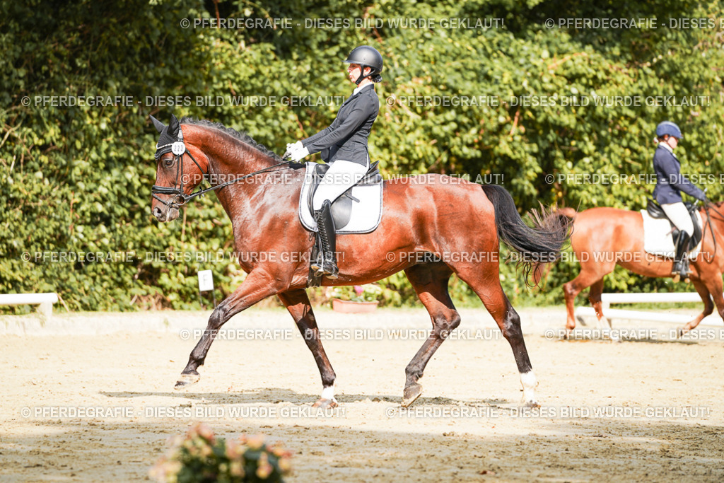 DSC02316 | Pferdegrafie