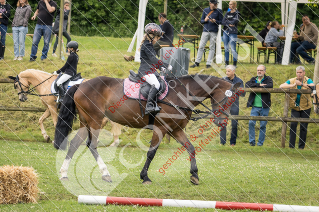 IMG_1819 | Sport-, Event- und Tierfotos in Profiqualität. Einfach auswählen, bestellen und herunterladen. Dein Moment – perfekt festgehalten.