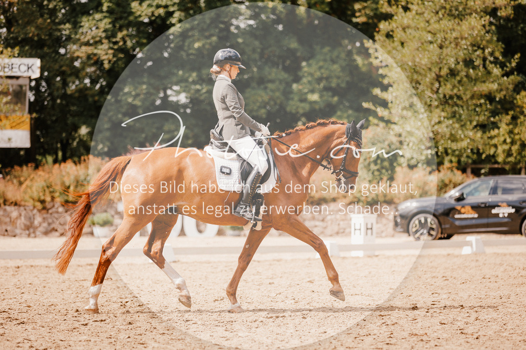 3I6A6045 | Stimmungsvolle Portraits und Reitsportfotografie im Ruhrgebiet und im Münsterland.

Pferdefotografie, Hundefotografie, Tierfotografie, Reportagen, Portraits von Tier und Mensch, Turnierfotografie in Bochum, Recklinghausen, Marl, Haltern am See, Dülmen.. - Realisiert mit Pictrs.com