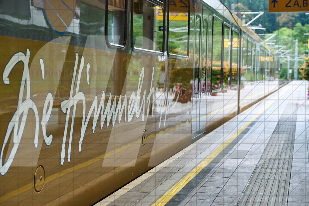 Betriebszentrum Laubenbachmühle, Frankenfels, Österreich - 13. September 2025: Dirndltal RaceFotograf: Martin Bihounek / martinbihounek.com | 13. September 2025 Betriebszentrum Laubenbachmühle, Frankenfels, Österreich : Dirndltal Race •••••Photo by: Martin Bihounek / martinbihounek.comInsta: @martinbihounekcom