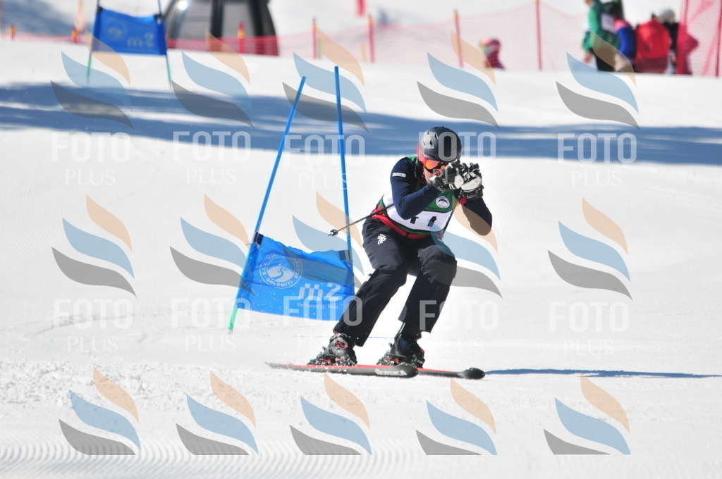 C3360 | holidayphoto