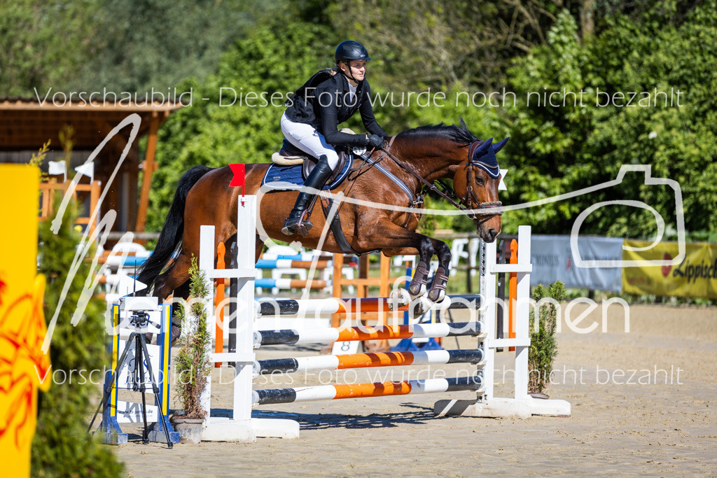 Donop24-A2Spr-017 | MomenTaufnahmen Pferdesportfotos