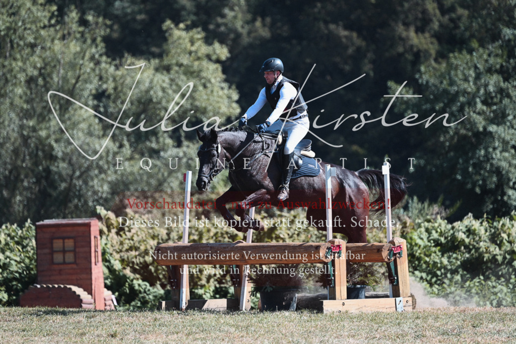 DSC_8471 | Pferde- und Turnierfotografie in Westsachsen. Pferdeportraits, Auftragszeichnungen und intuitive Kunst.