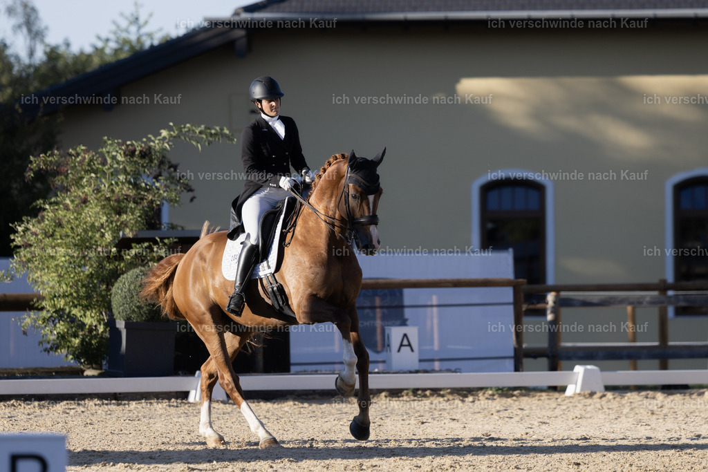 FHC2026_P09_204_19186 | Fichtenhof Classics 2026 – Grand Prix de Dressage - VOLTAIRE Design Preis, Reitanlage Fichtenhof, Sch ftlarn