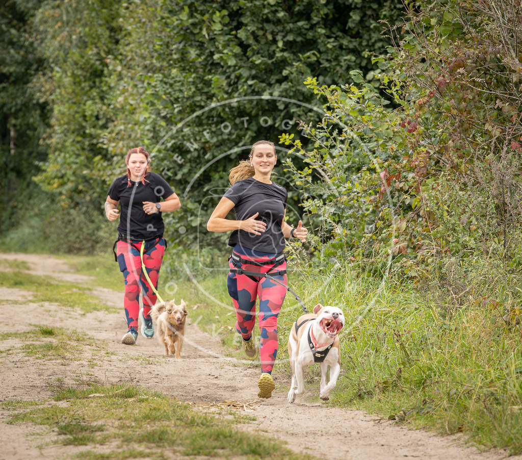 Pfotenfotografie_DV3A7287 | Hundefotografie, Tierfotograf, Pfotenfotografie, Fotoshooting Hund, Hunde Portrait, Hundesport, Hundeportraits, Heideshooting, Hunde, Sportfotograf, Hundefotograf, Turnierhundsport, THS,  - Realisiert mit Pictrs.com