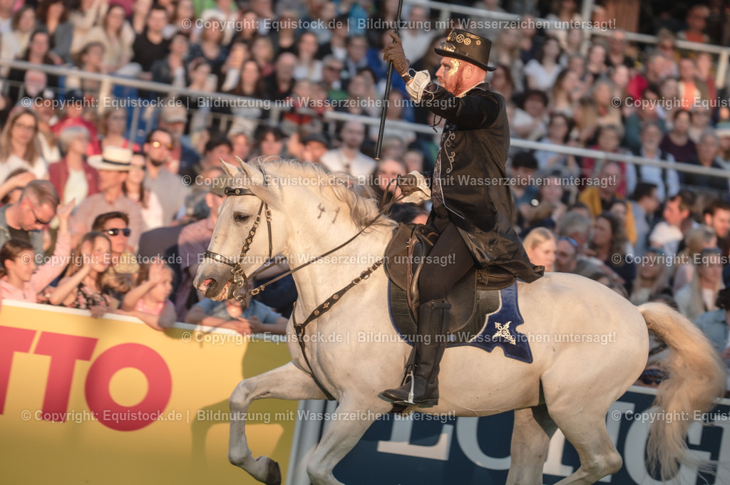 20230526_Pferdenacht_0321 | equistock