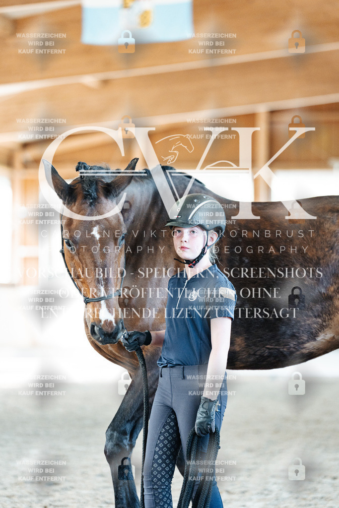CK906488 | Turnierfotografie Pferdefotografie Trier Rheinland-Pfalz Pferdesport Reitsport Tierfotografie Sportfotografie Pferdevideo Pferdevideografie Equestrianvideography equestrianphotography  - Realisiert mit Pictrs.com