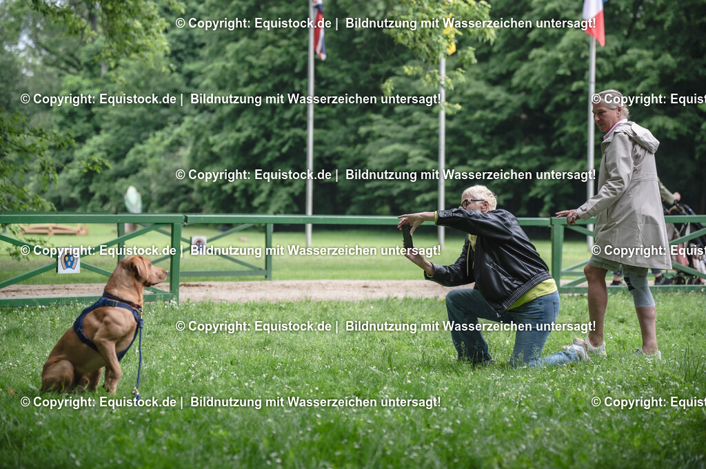 20240519_Impressionen_0198 | Foto: Thomas Hartig