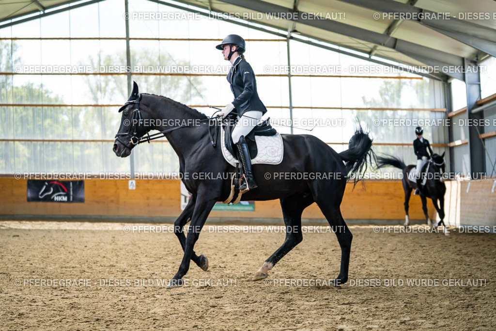 DSC05942 | Pferdegrafie